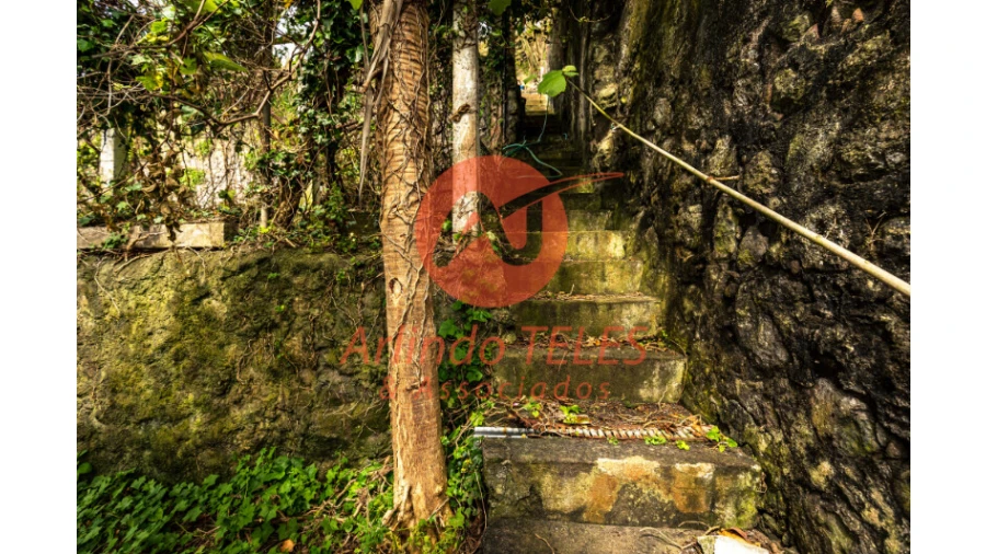 Moradia T4 para Venda em Angra (São Pedro) Foto 50