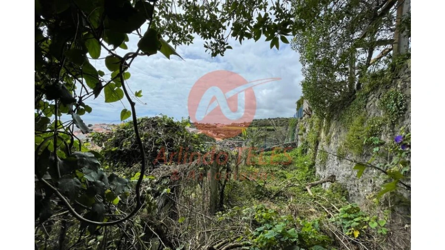 Moradia T4 para Venda em Angra (São Pedro) Foto 15