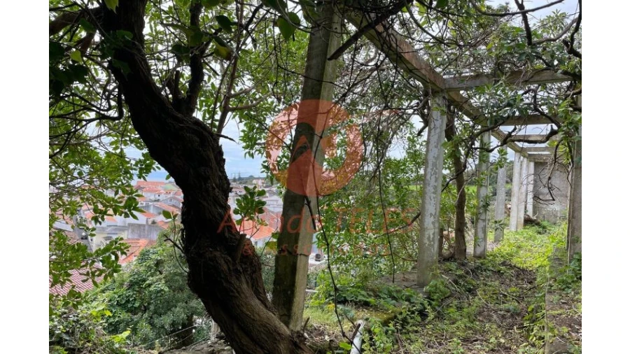 Moradia T4 para Venda em Angra (São Pedro) Foto 19