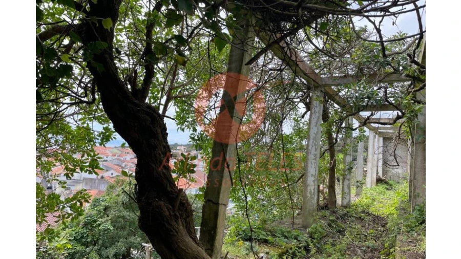 Moradia T4 para Venda em Angra (São Pedro) Foto 18