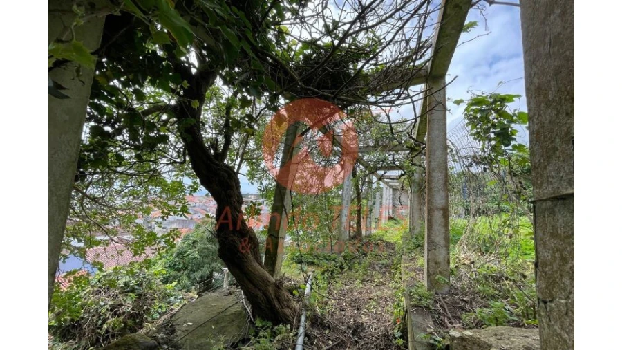 Moradia T4 para Venda em Angra (São Pedro) Foto 17