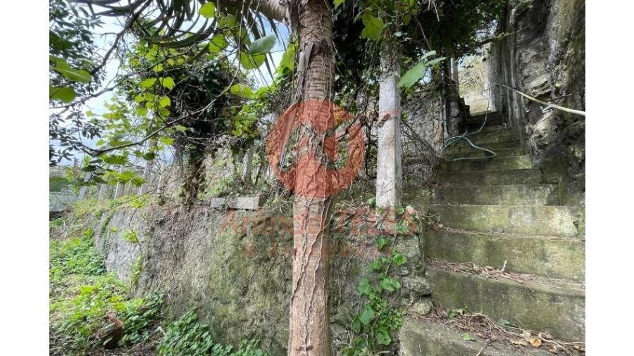 Moradia T4 para Venda em Angra (São Pedro) Foto 11