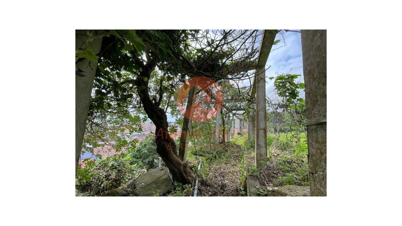 Moradia T4 para Venda em Angra (São Pedro) Foto 17