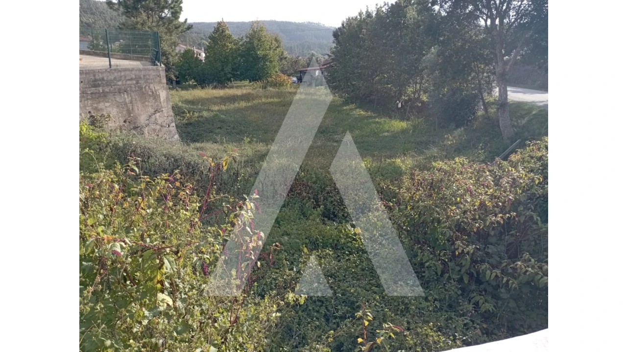 Terreno para Venda em Albergaria-A-Velha e Valmaior Foto 2