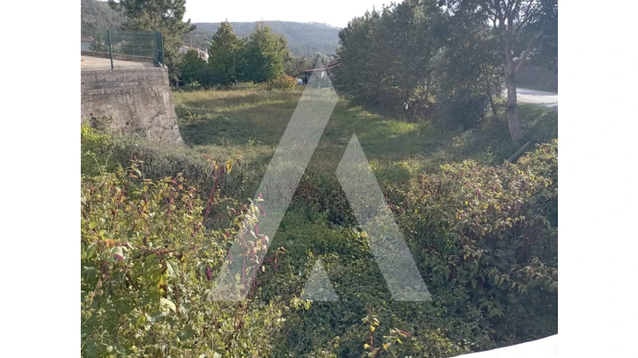 Terreno para Venda em Albergaria-A-Velha e Valmaior Foto 2