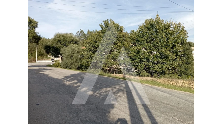 Terreno para Venda em Albergaria-A-Velha e Valmaior Foto 1