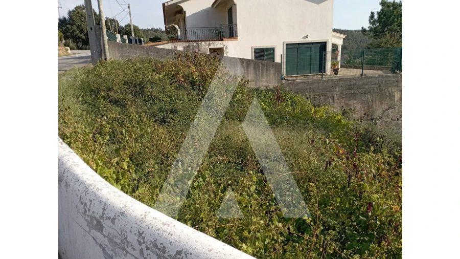 Terreno para Venda em Albergaria-A-Velha e Valmaior Foto 3