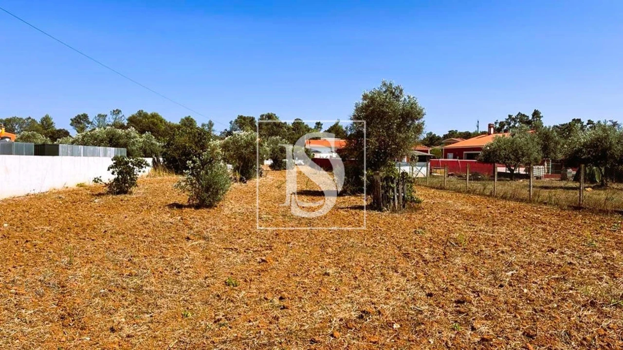 Terreno para Venda em Brogueira, Parceiros de Igreja e Alcorochel Foto 4