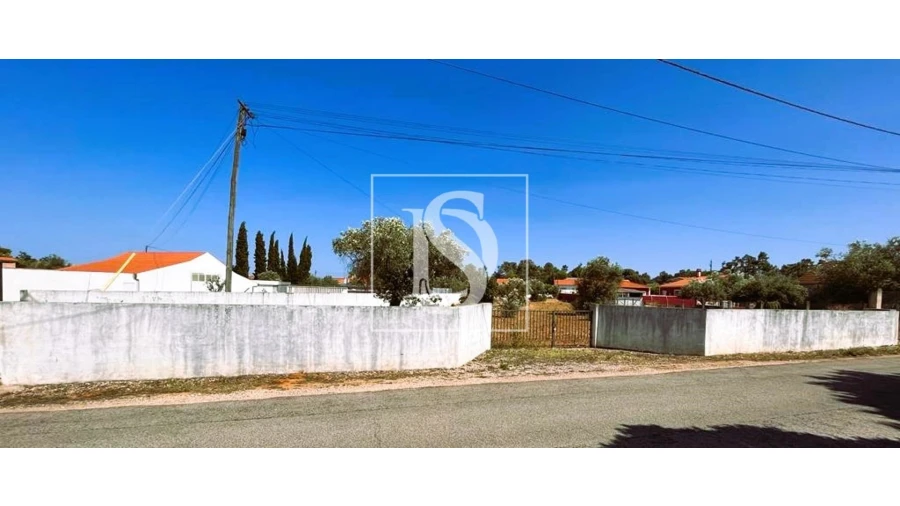 Terreno para Venda em Brogueira, Parceiros de Igreja e Alcorochel Foto 5