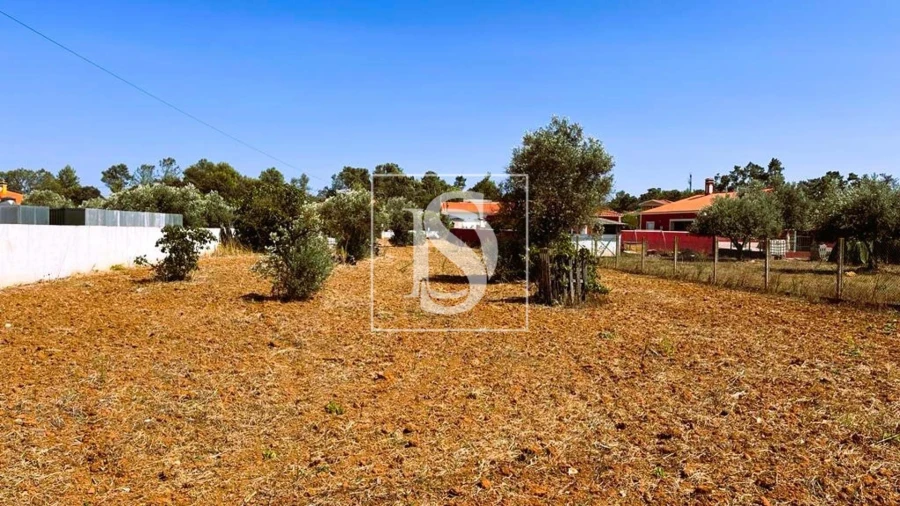 Terreno para Venda em Brogueira, Parceiros de Igreja e Alcorochel Foto 4