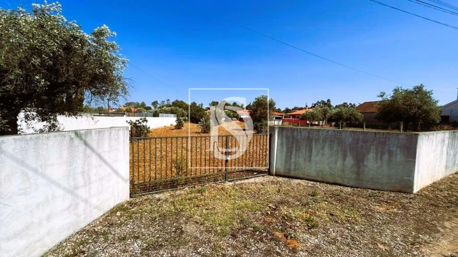 Terreno para Venda em Brogueira, Parceiros de Igreja e Alcorochel Foto 6