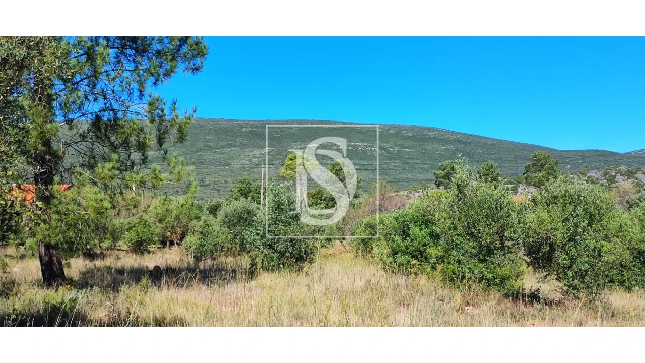 Terreno para Venda em Pedrogão Foto 6