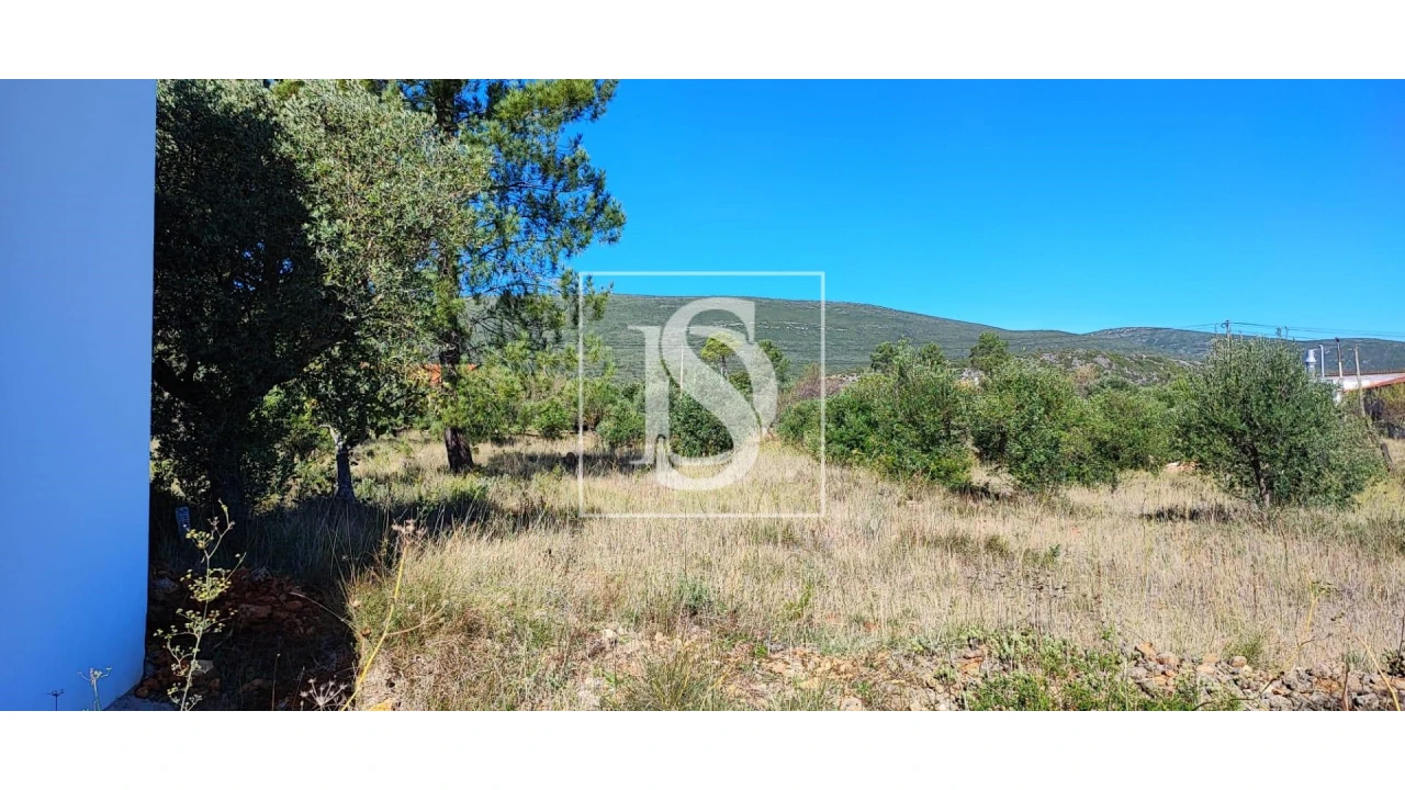 Terreno para Venda em Pedrogão Foto 8