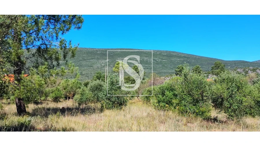 Terreno para Venda em Pedrogão Foto 6