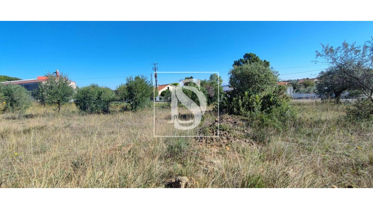 Terreno para Venda em Pedrogão Foto 7