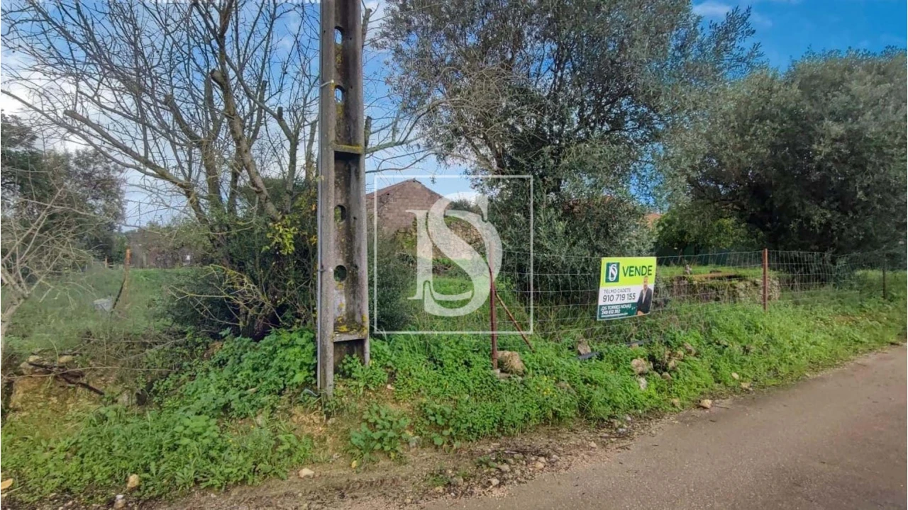 Terreno para Venda em Assentiz Foto 16
