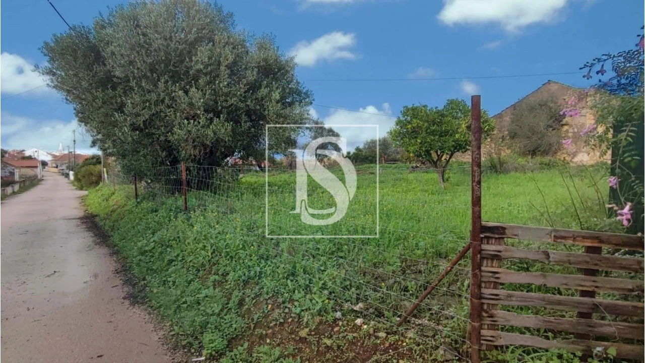 Terreno para Venda em Assentiz Foto 3