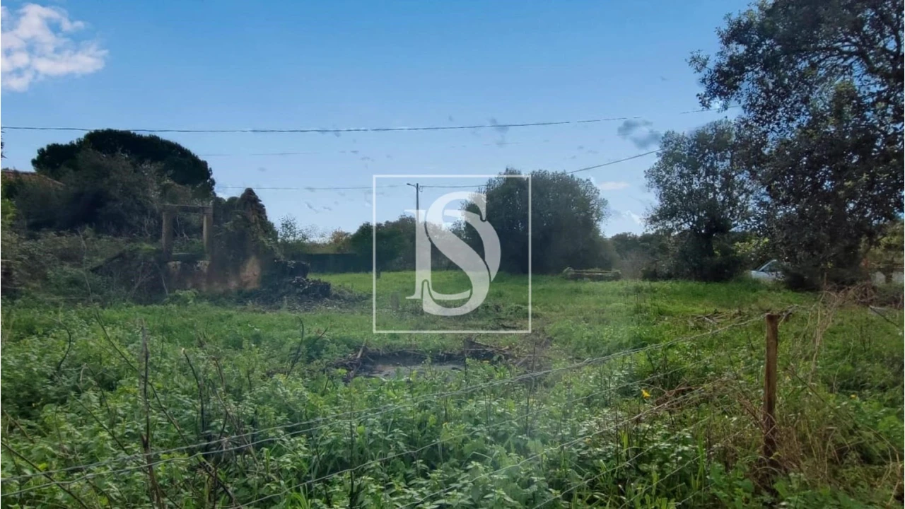 Terreno para Venda em Assentiz Foto 9