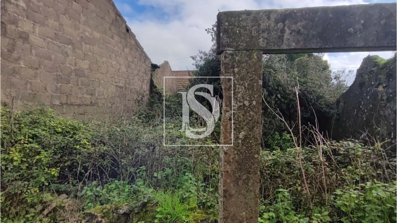 Terreno para Venda em Assentiz Foto 5