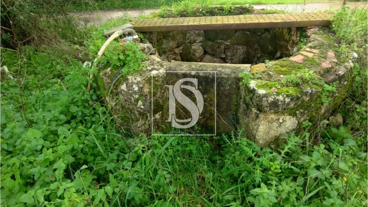 Terreno para Venda em Assentiz Foto 14