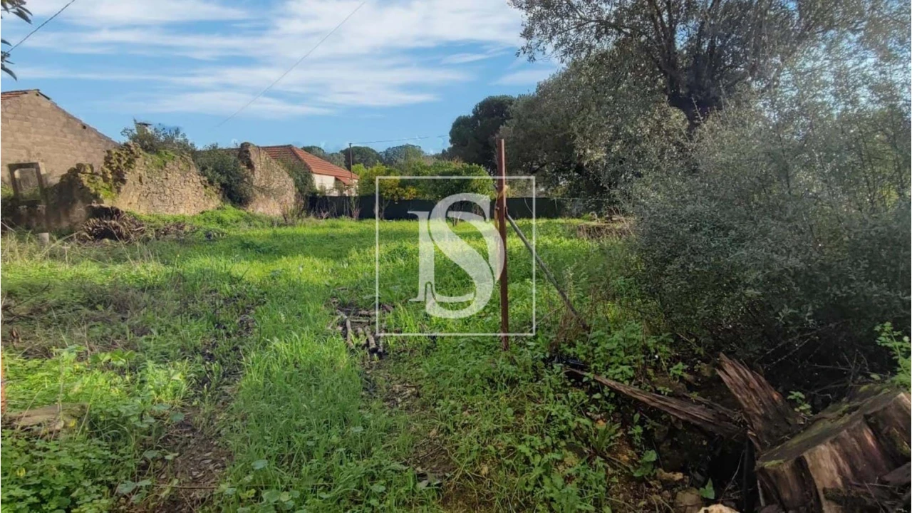 Terreno para Venda em Assentiz Foto 17