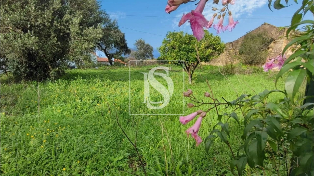 Terreno para Venda em Assentiz Foto 6