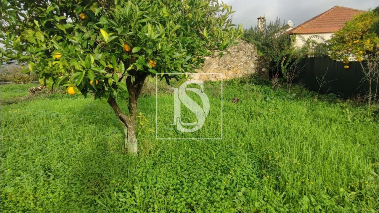 Terreno para Venda em Assentiz Foto 7