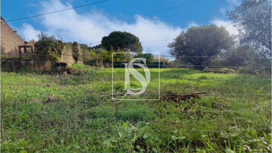 Terreno para Venda em Assentiz Foto 8