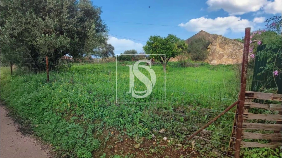 Terreno para Venda em Assentiz Foto 13