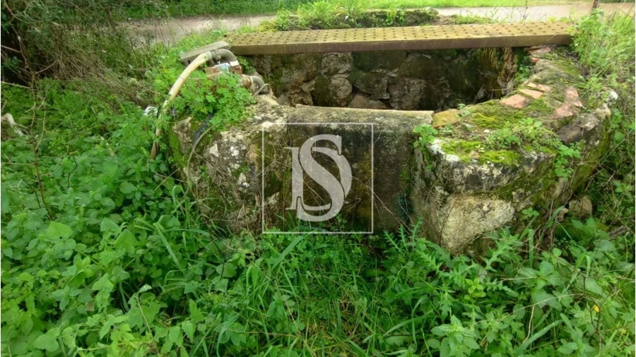 Terreno para Venda em Assentiz Foto 14