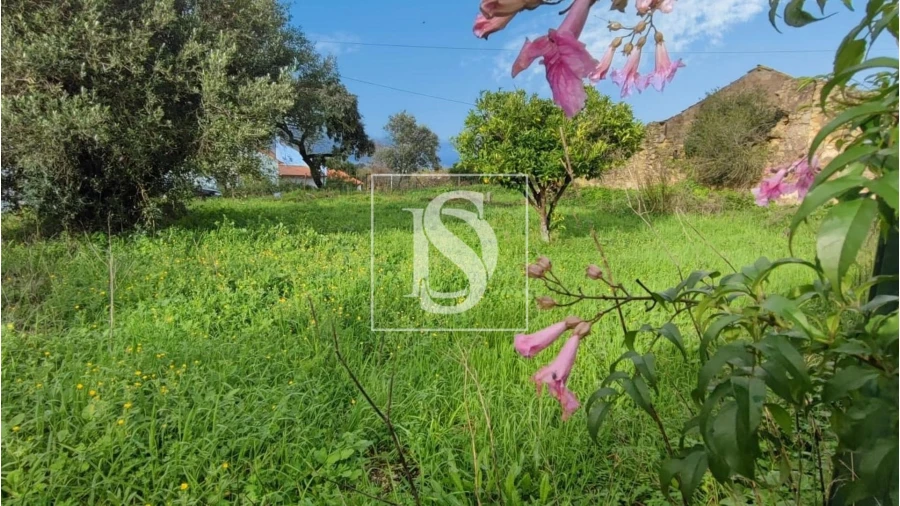 Terreno para Venda em Assentiz Foto 6