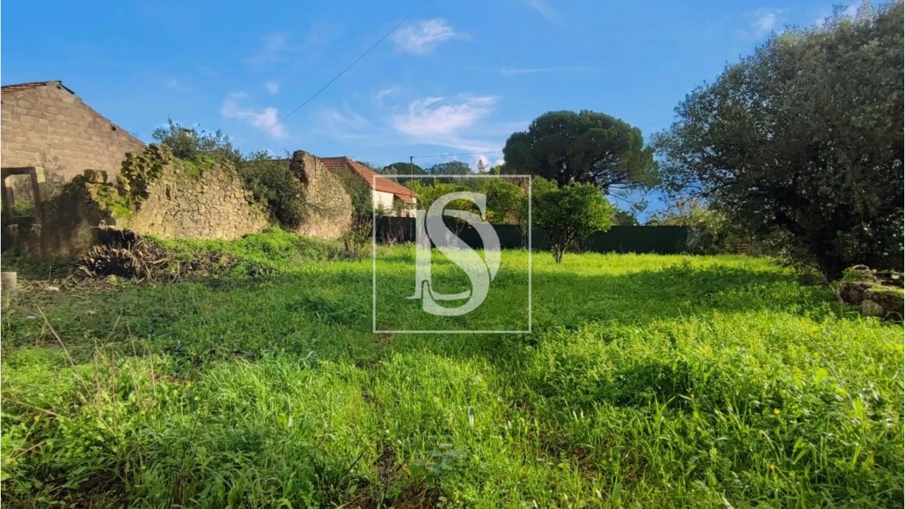 Terreno para Venda em Assentiz Foto 1