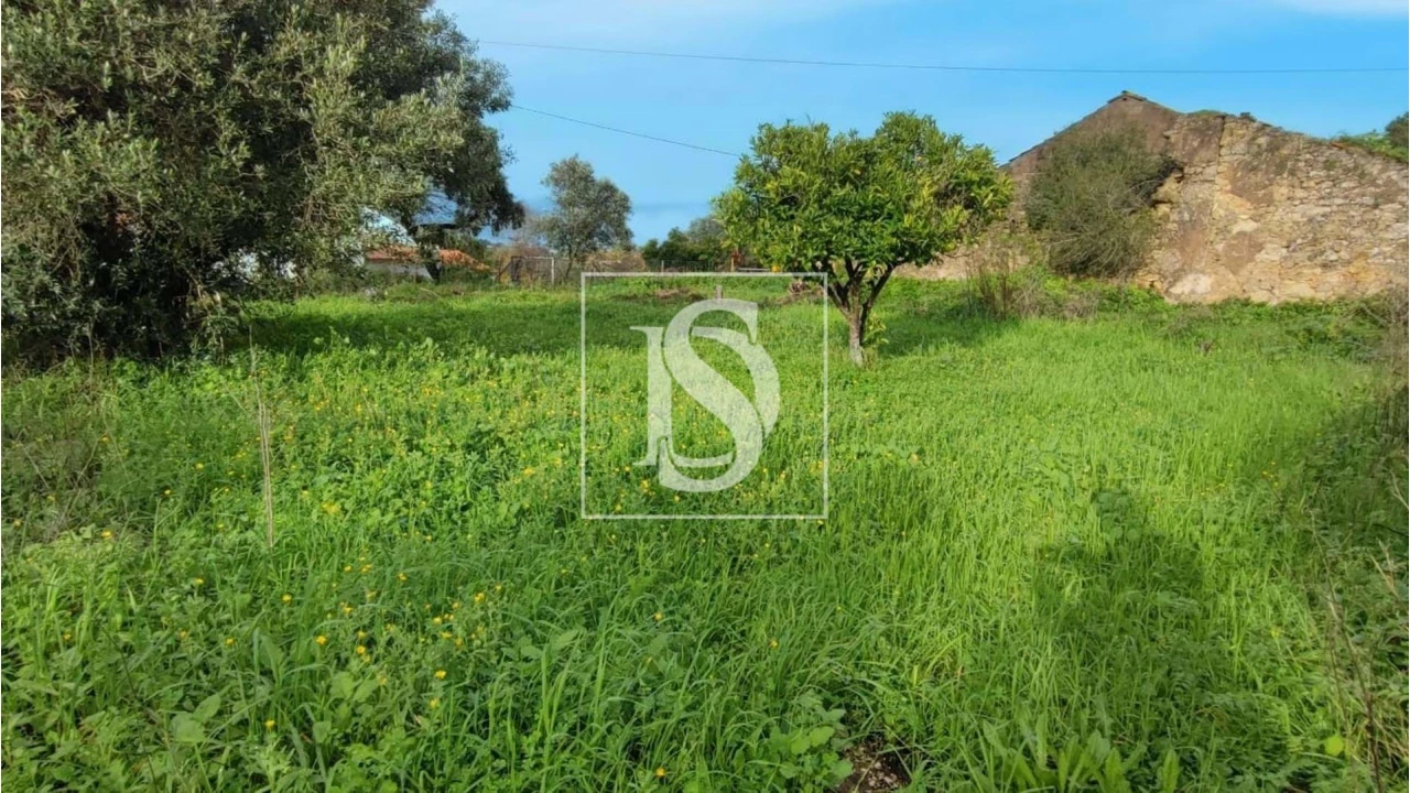 Terreno para Venda em Assentiz Foto 4