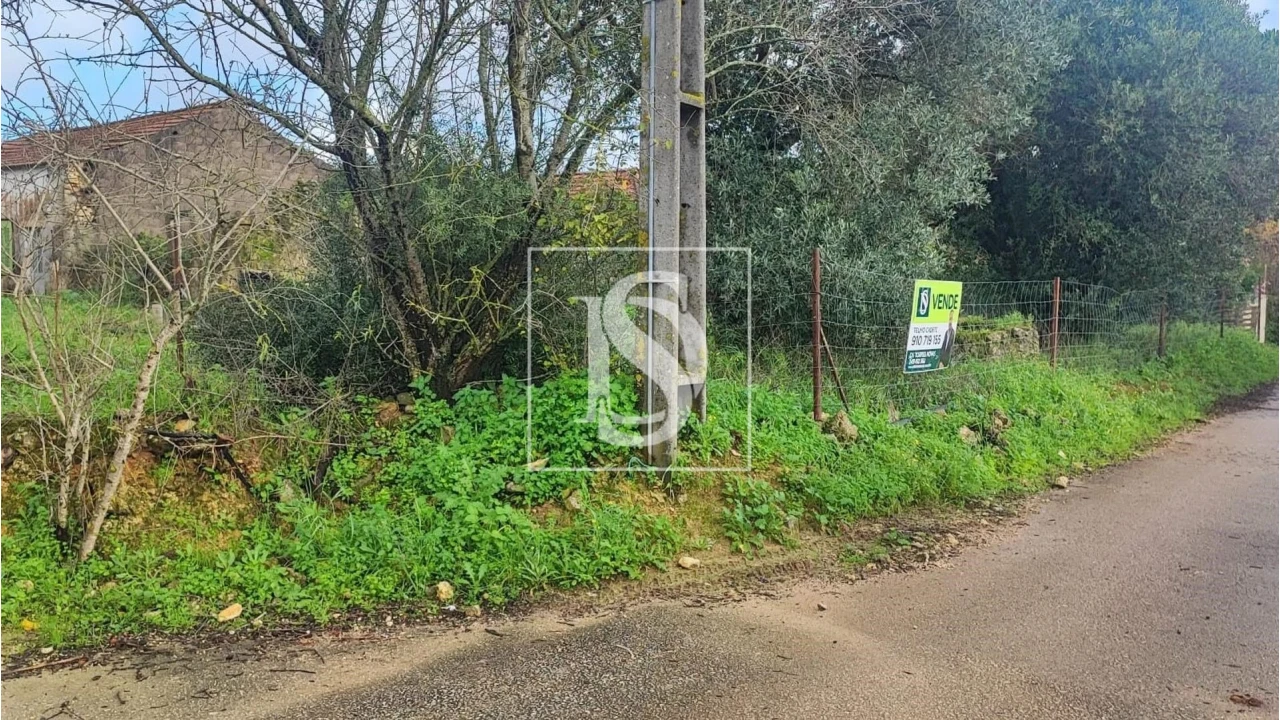 Terreno para Venda em Assentiz Foto 15