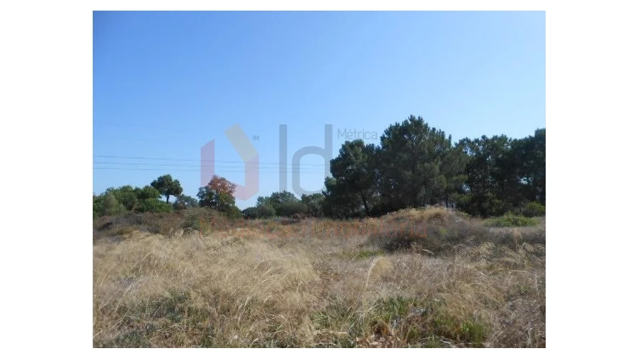 Terreno para Venda em Santo Antonio da Charneca Foto 5