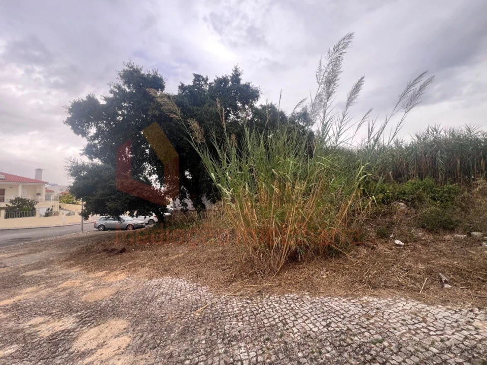 Terreno para Venda em Sesimbra (Castelo) Foto 4