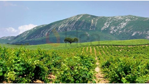 Terreno para Venda em Sesimbra (Castelo)