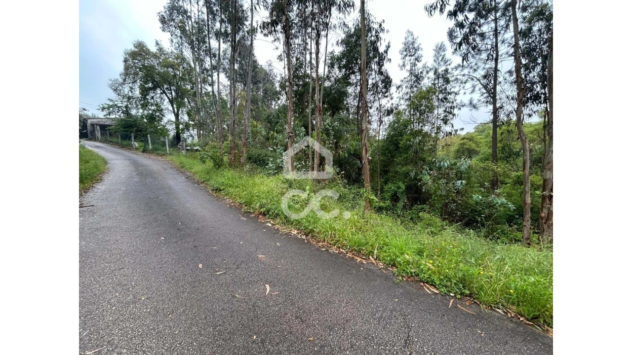 Terreno para Venda em Cumeeira Foto 10