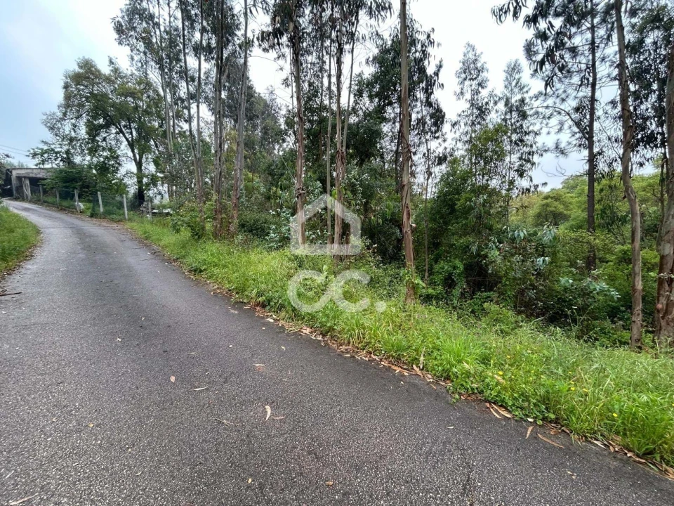 Terreno para Venda em Cumeeira Foto 15