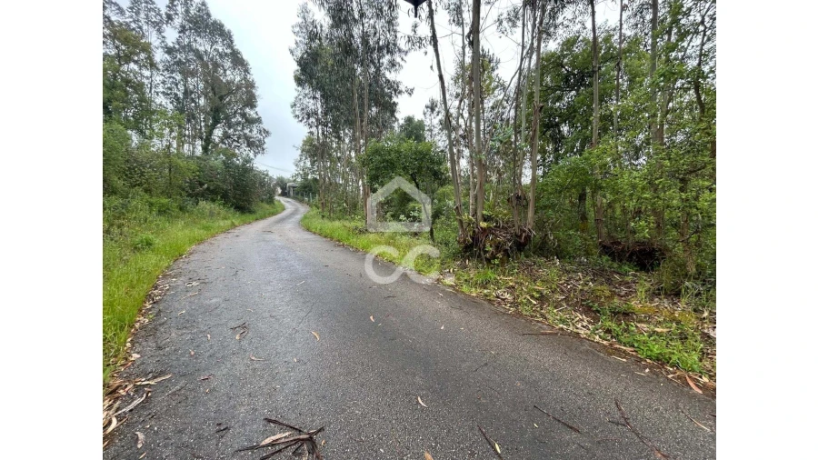 Terreno para Venda em Cumeeira Foto 9