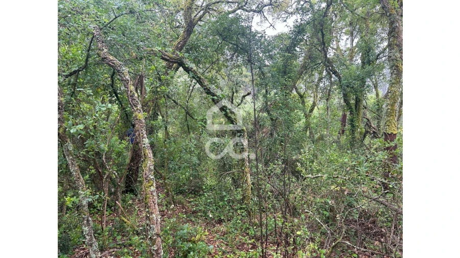 Terreno para Venda em Cumeeira Foto 7