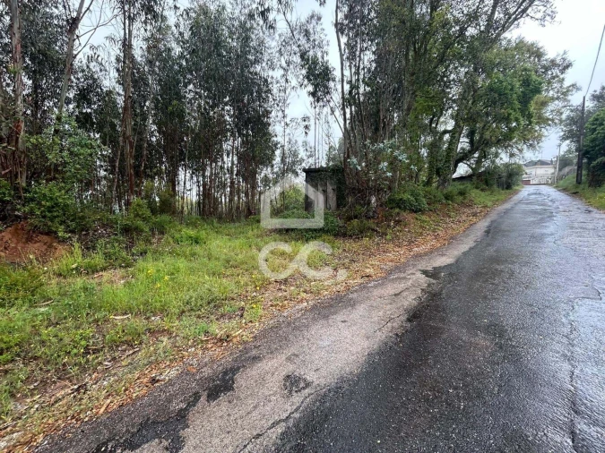 Terreno para Venda em Cumeeira Foto 16