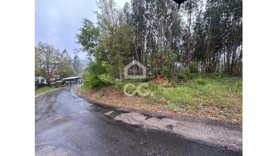 Terreno para Venda em Cumeeira Foto 5