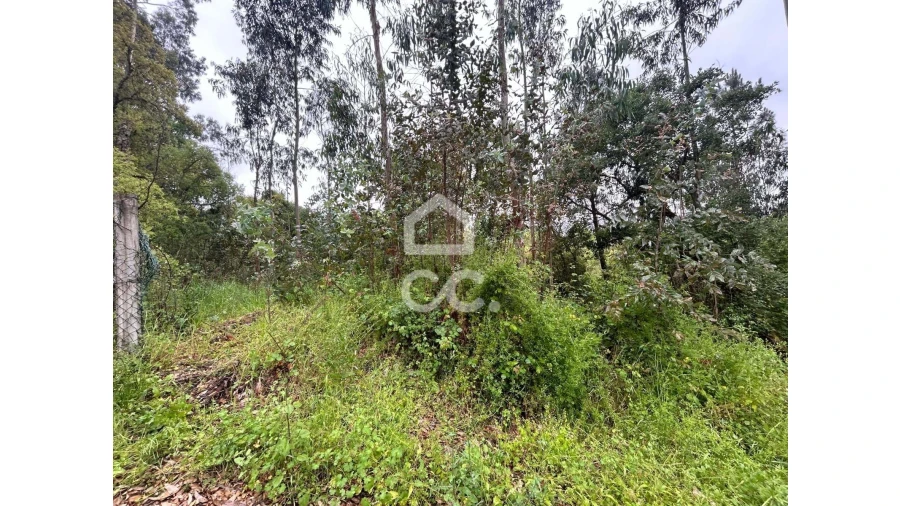 Terreno para Venda em Cumeeira Foto 6