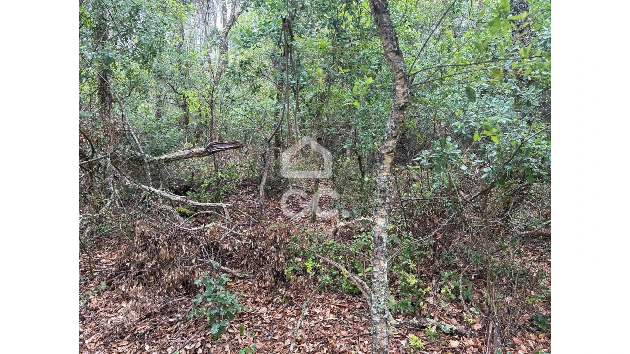 Terreno para Venda em Cumeeira Foto 8