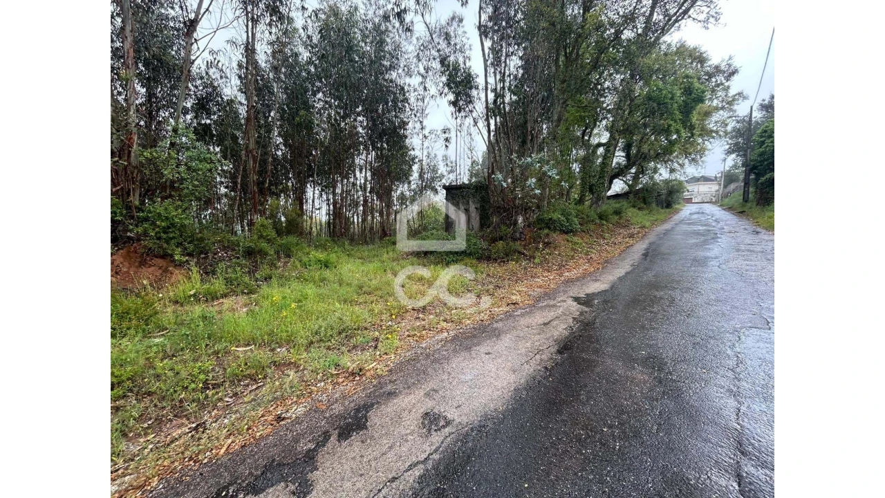 Terreno para Venda em Cumeeira Foto 4