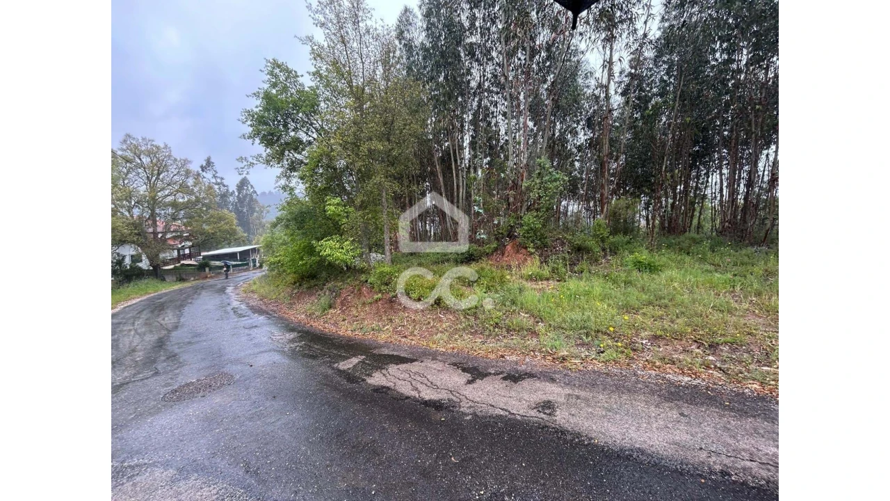 Terreno para Venda em Cumeeira Foto 5