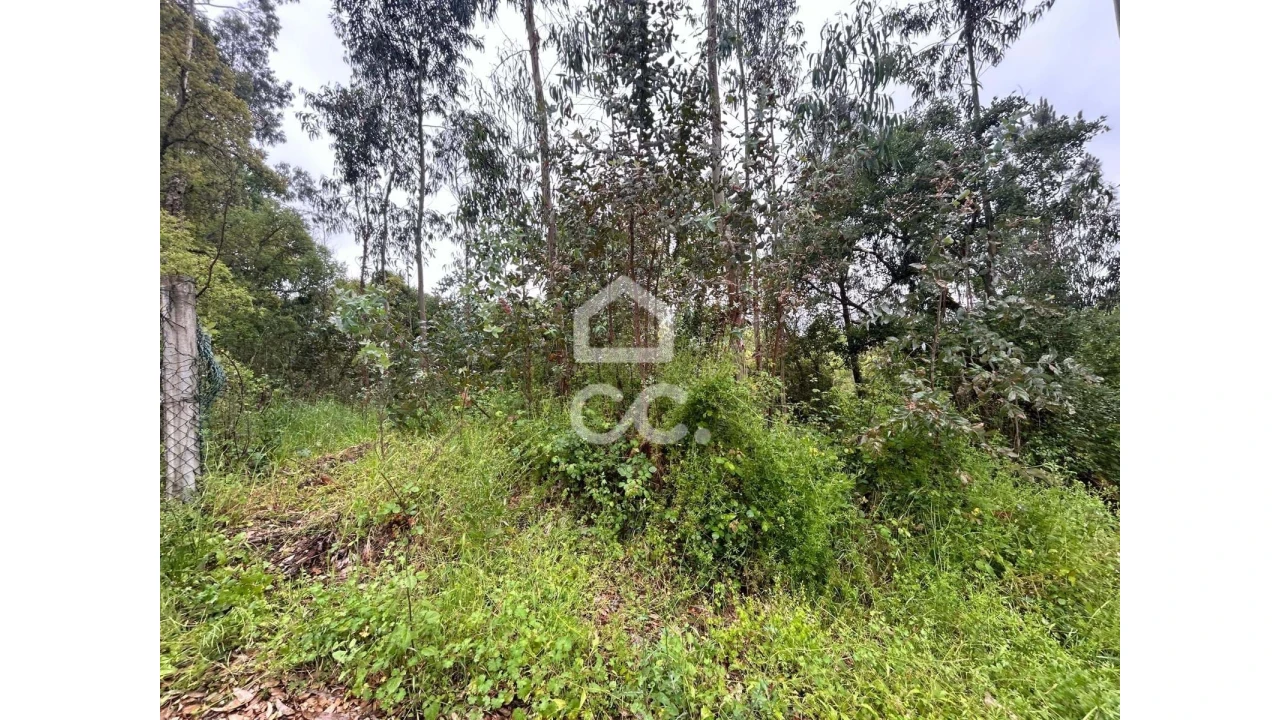 Terreno para Venda em Cumeeira Foto 6