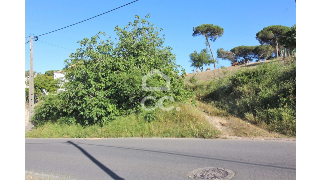 Terreno para Venda em Sesimbra (Castelo) Foto 9