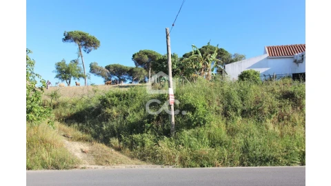 Terreno para Venda em Sesimbra (Castelo)